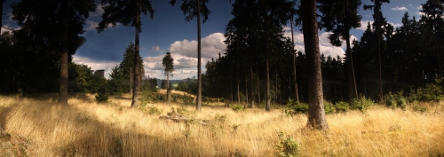 Panorama Eibertshain